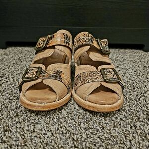 Freebird by Steven Caprice size 6